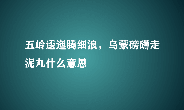 五岭逶迤腾细浪，乌蒙磅礴走泥丸什么意思