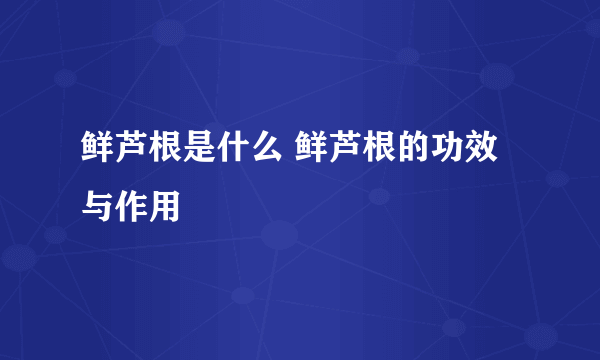 鲜芦根是什么 鲜芦根的功效与作用