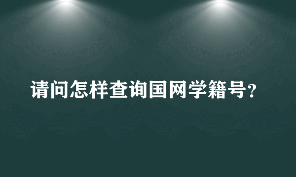 请问怎样查询国网学籍号？