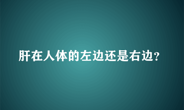 肝在人体的左边还是右边？