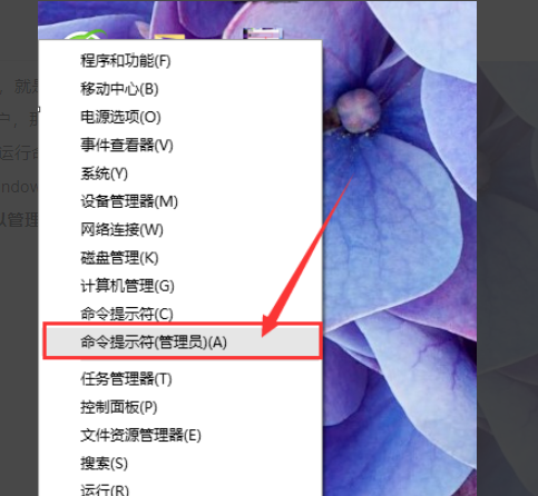 windows管理员账户administrator和administrator是一个账户吗