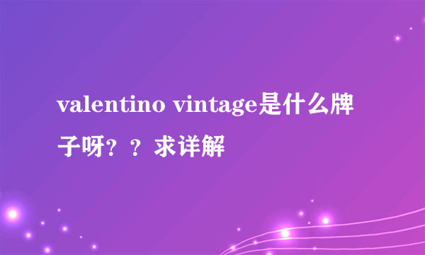 valentino vintage是什么牌子呀？？求详解