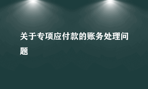 关于专项应付款的账务处理问题