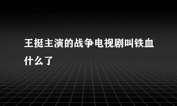 王挺主演的战争电视剧叫铁血什么了