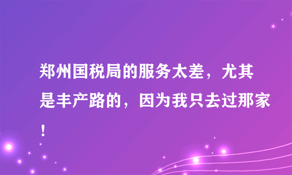 郑州国税局的服务太差，尤其是丰产路的，因为我只去过那家！