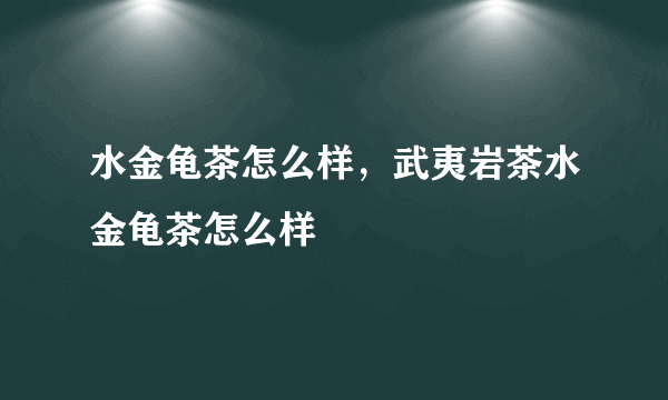 水金龟茶怎么样，武夷岩茶水金龟茶怎么样