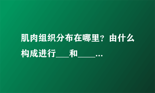 肌肉组织分布在哪里？由什么构成进行___和____，因此能产生________.