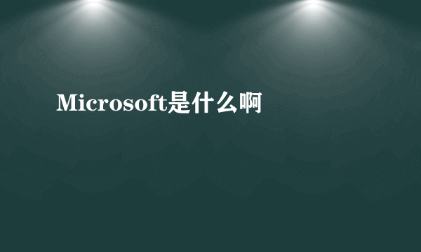 Microsoft是什么啊