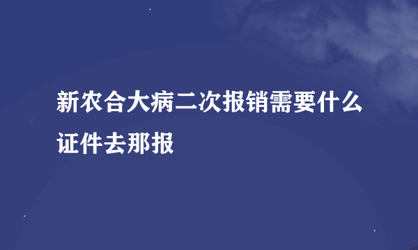 新农合大病二次报销需要什么证件去那报