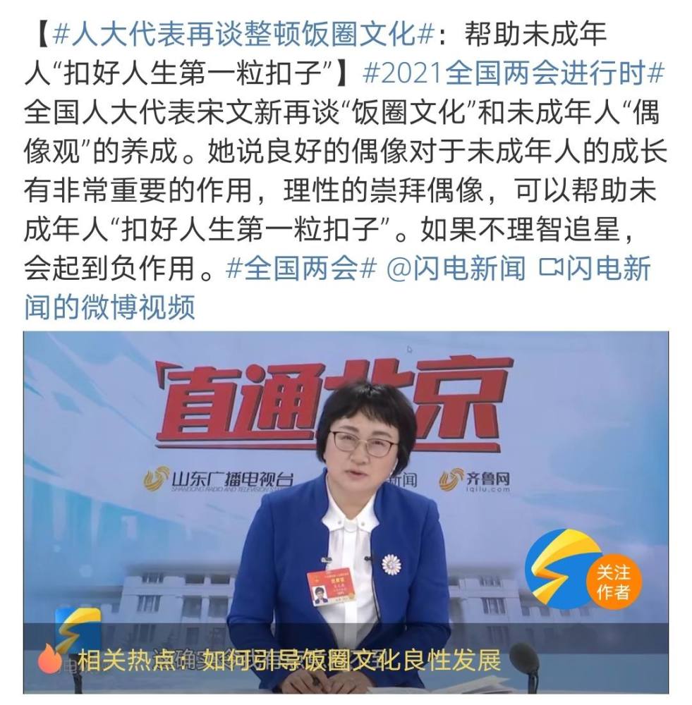 宋文新谈整顿饭圈文化，什么是饭圈文化？