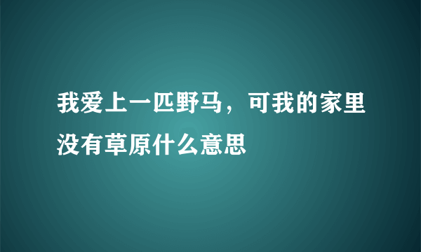 我爱上一匹野马，可我的家里没有草原什么意思