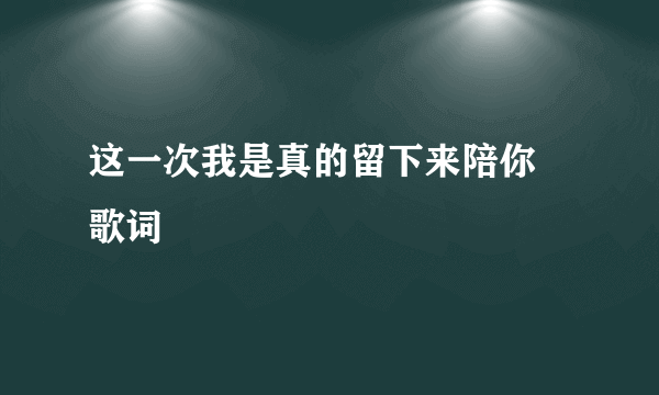 这一次我是真的留下来陪你 歌词