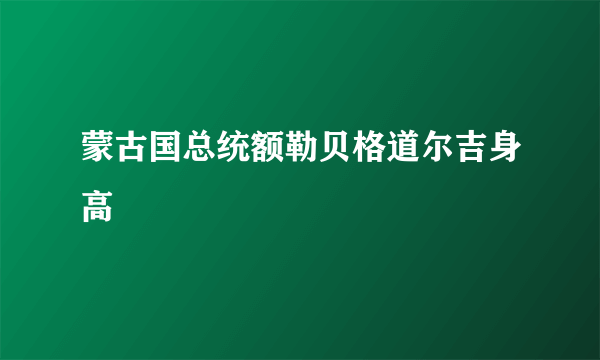 蒙古国总统额勒贝格道尔吉身高