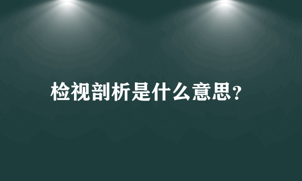 检视剖析是什么意思？