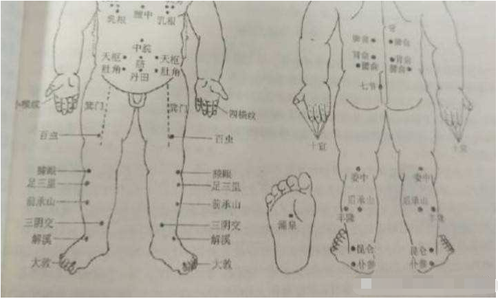 委中穴正确位置？