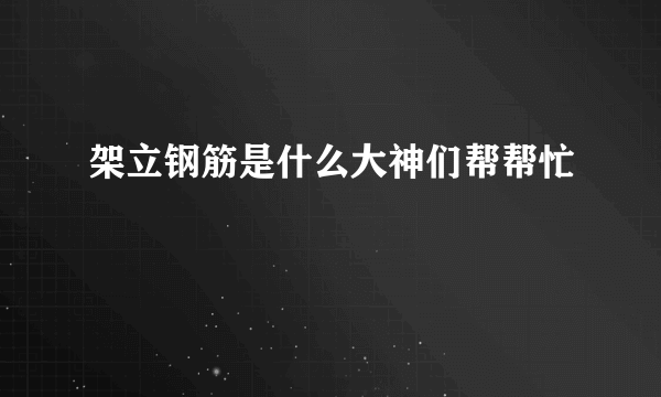 架立钢筋是什么大神们帮帮忙