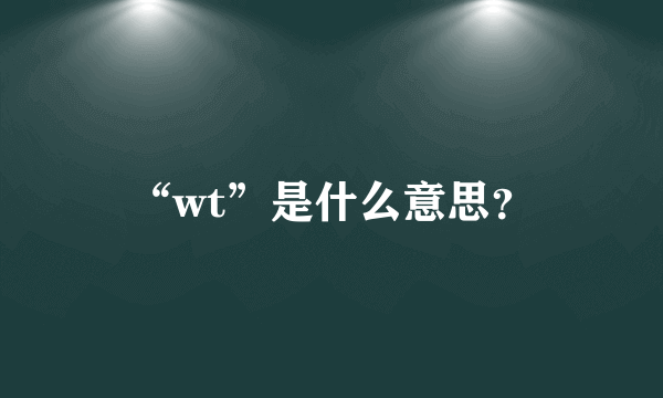 “wt”是什么意思？