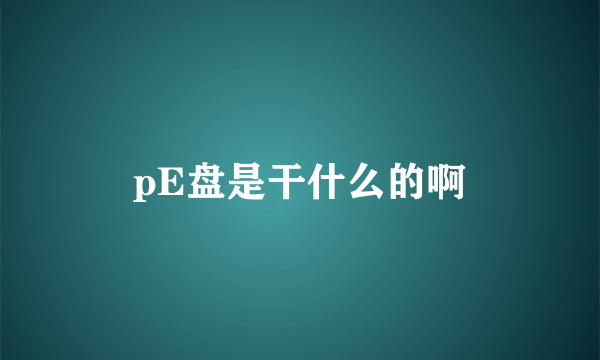 pE盘是干什么的啊