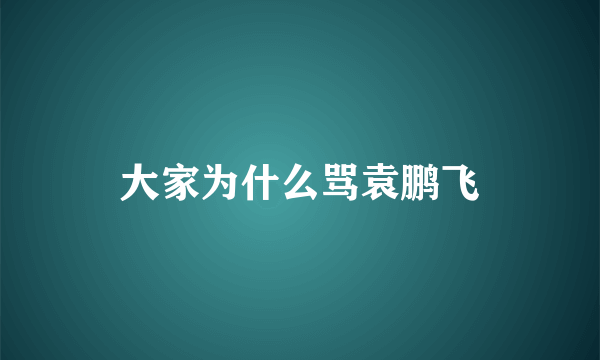 大家为什么骂袁鹏飞