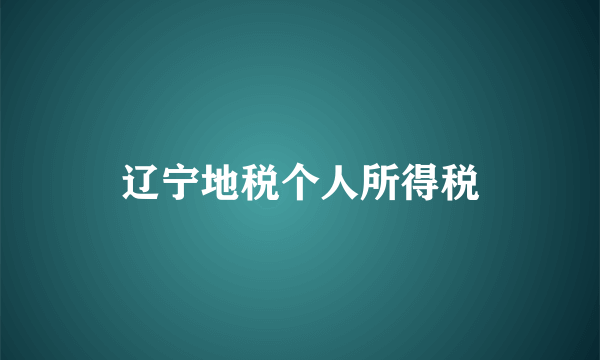 辽宁地税个人所得税