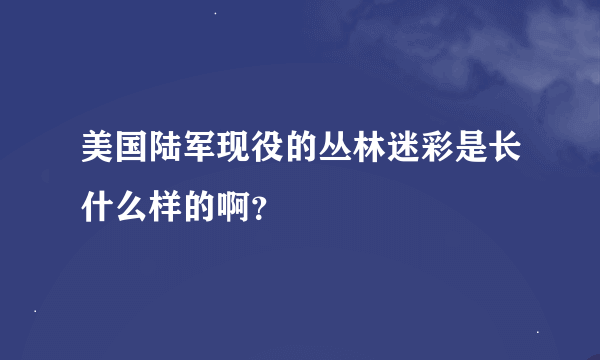 美国陆军现役的丛林迷彩是长什么样的啊？