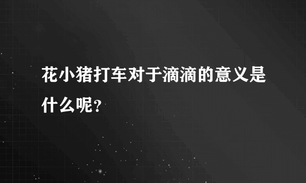 花小猪打车对于滴滴的意义是什么呢？