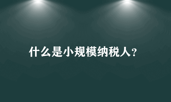 什么是小规模纳税人？