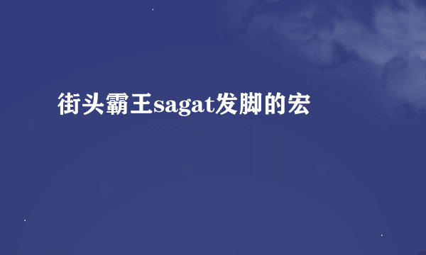 街头霸王sagat发脚的宏