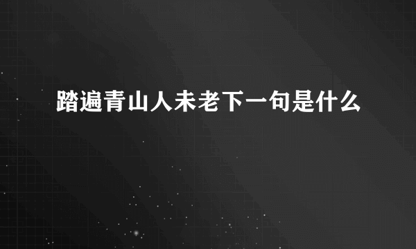 踏遍青山人未老下一句是什么