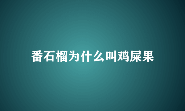 番石榴为什么叫鸡屎果