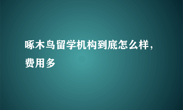 啄木鸟留学机构到底怎么样，费用多