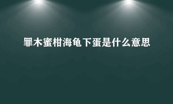 罪木蜜柑海龟下蛋是什么意思