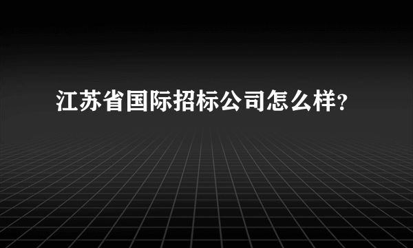 江苏省国际招标公司怎么样？