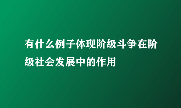 有什么例子体现阶级斗争在阶级社会发展中的作用