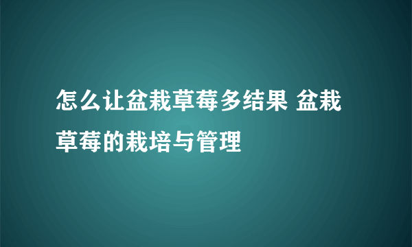 怎么让盆栽草莓多结果 盆栽草莓的栽培与管理