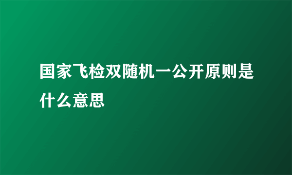 国家飞检双随机一公开原则是什么意思