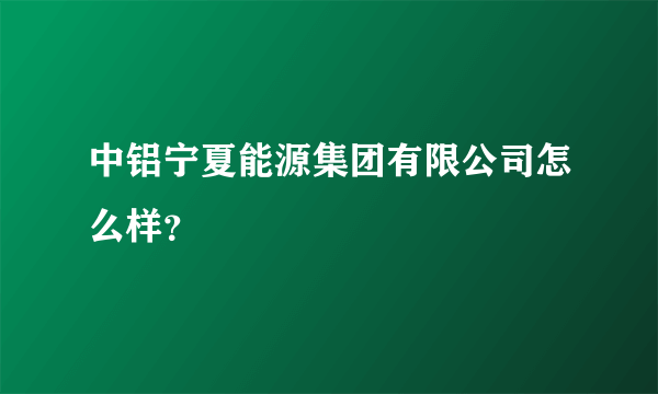 中铝宁夏能源集团有限公司怎么样？