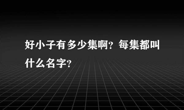 好小子有多少集啊？每集都叫什么名字？