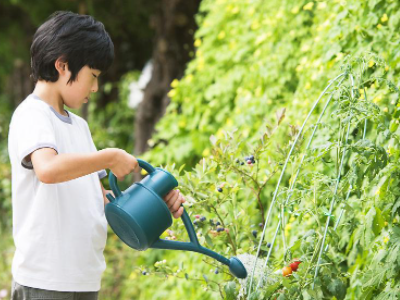 学生参加社会公益活动有哪些？