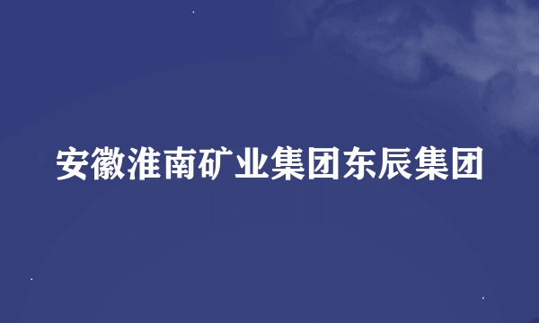 安徽淮南矿业集团东辰集团