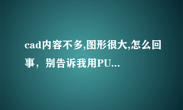 cad内容不多,图形很大,怎么回事，别告诉我用PU命令，没用的。