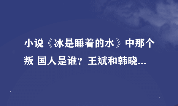 小说《冰是睡着的水》中那个叛 国人是谁？王斌和韩晓琳最后结局怎么样？