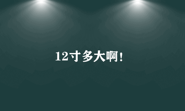 12寸多大啊！