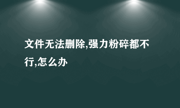 文件无法删除,强力粉碎都不行,怎么办