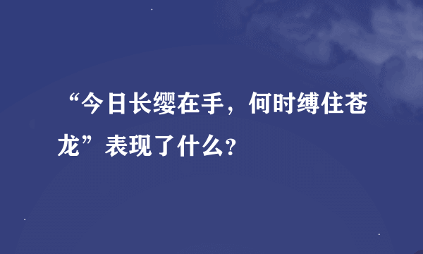 “今日长缨在手，何时缚住苍龙”表现了什么？