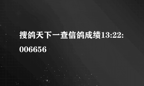 搜鸽天下一查信鸽成绩13:22:006656