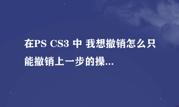 在PS CS3 中 我想撤销怎么只能撤销上一步的操作啊 可不可以更往前一点？