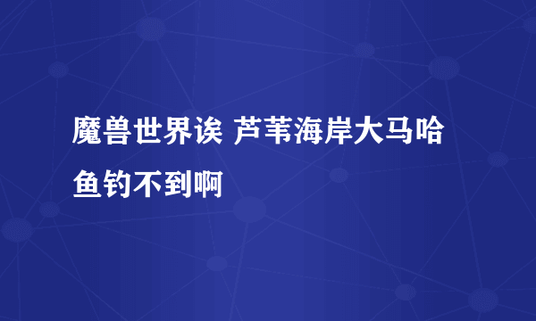 魔兽世界诶 芦苇海岸大马哈鱼钓不到啊