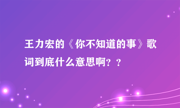 王力宏的《你不知道的事》歌词到底什么意思啊？？