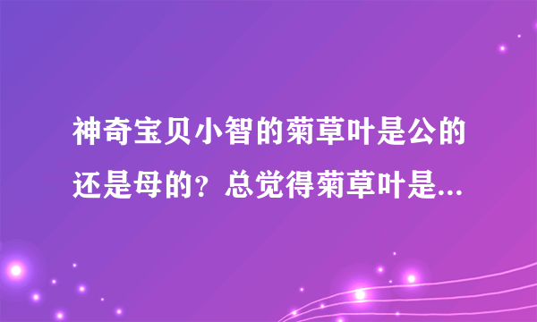 神奇宝贝小智的菊草叶是公的还是母的？总觉得菊草叶是母的 它好喜欢小智我也特别喜欢菊草叶因为它好可爱